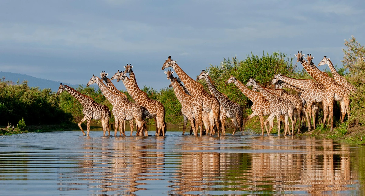 Serengeti & Ngorongoro Explorer