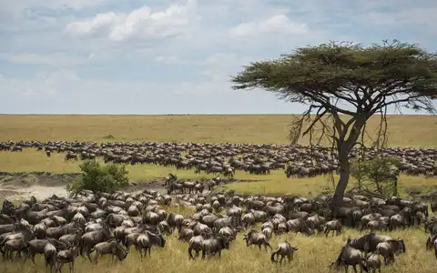 Serengeti National Park