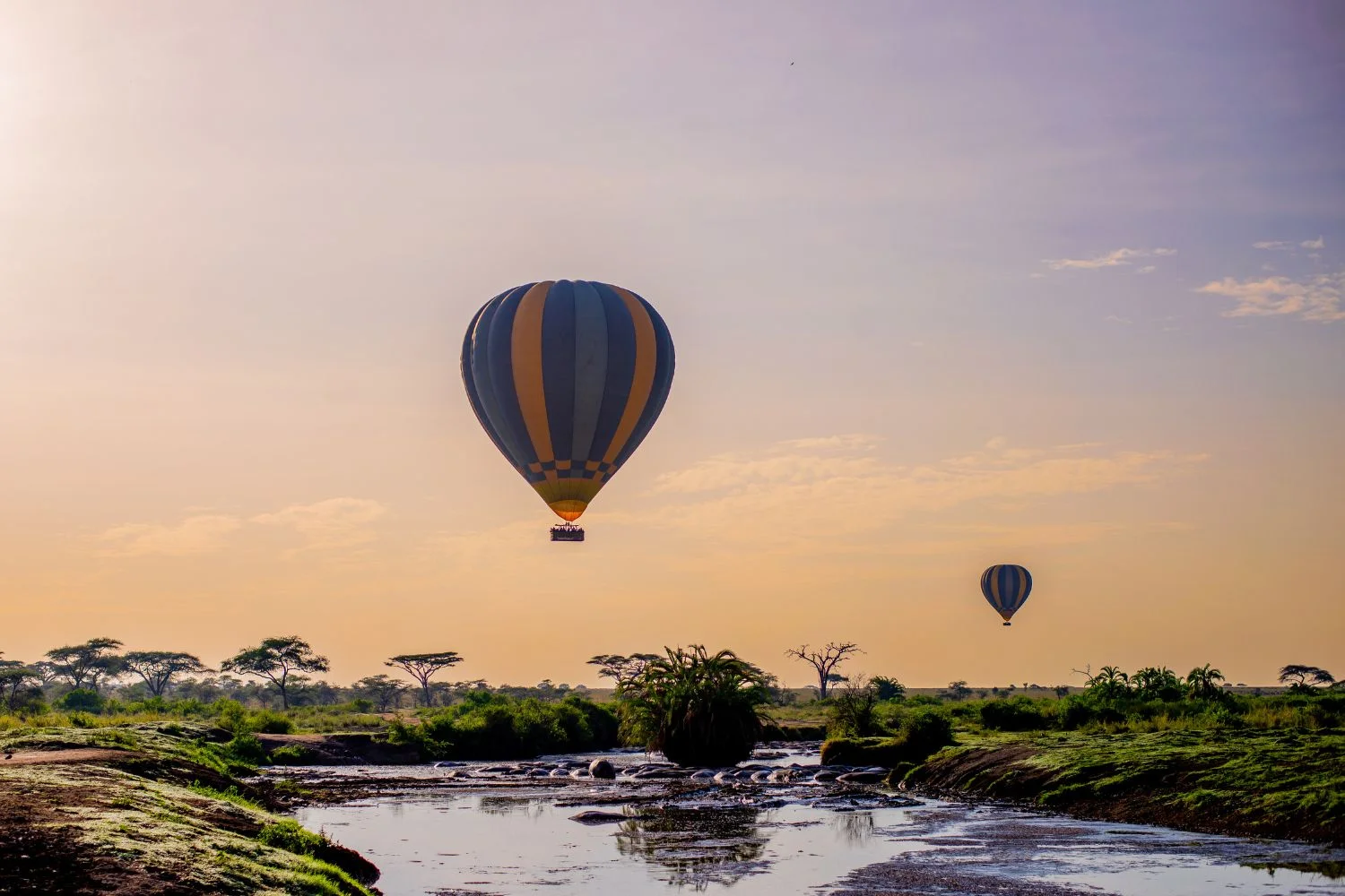 Balloon