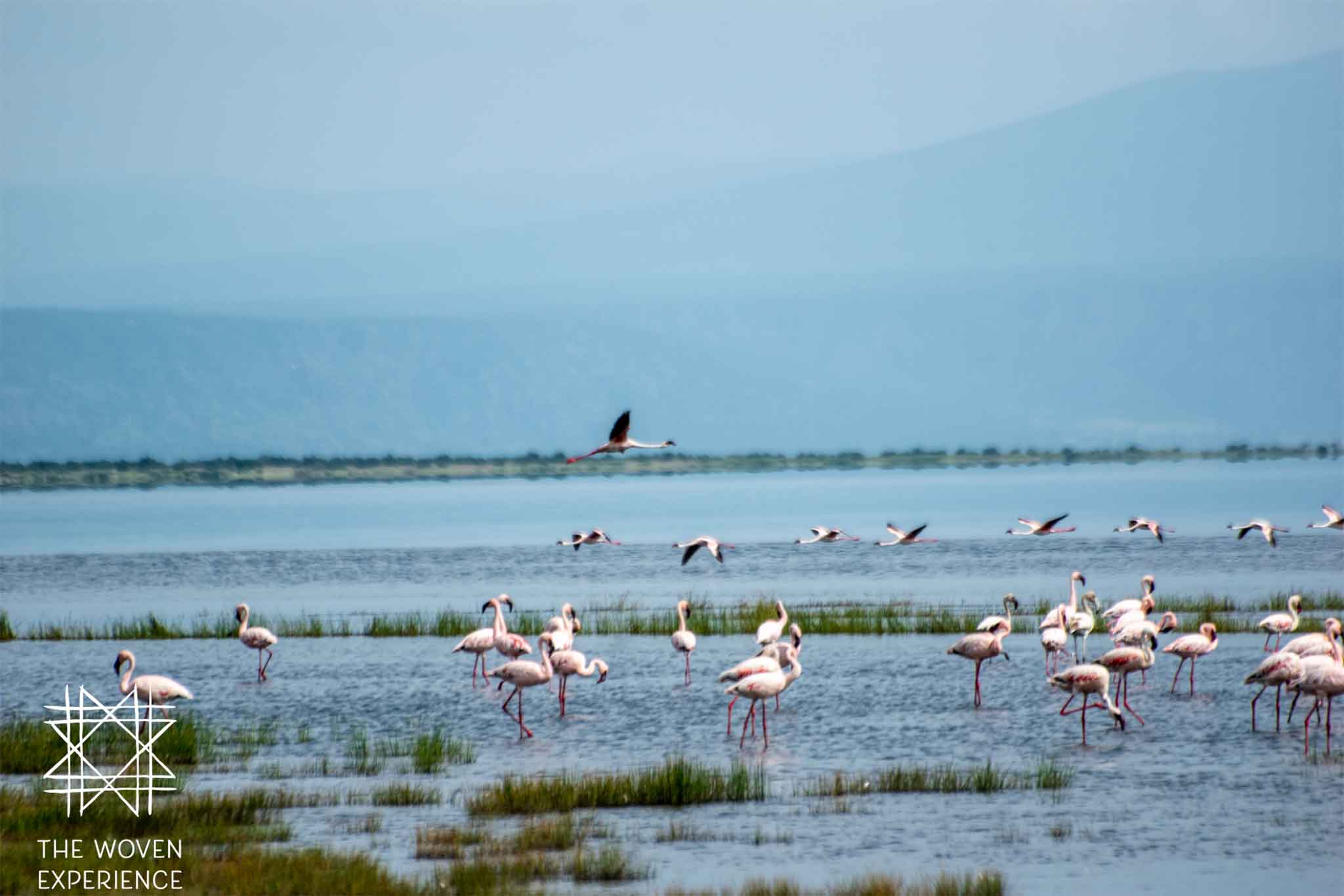 Lake Natron