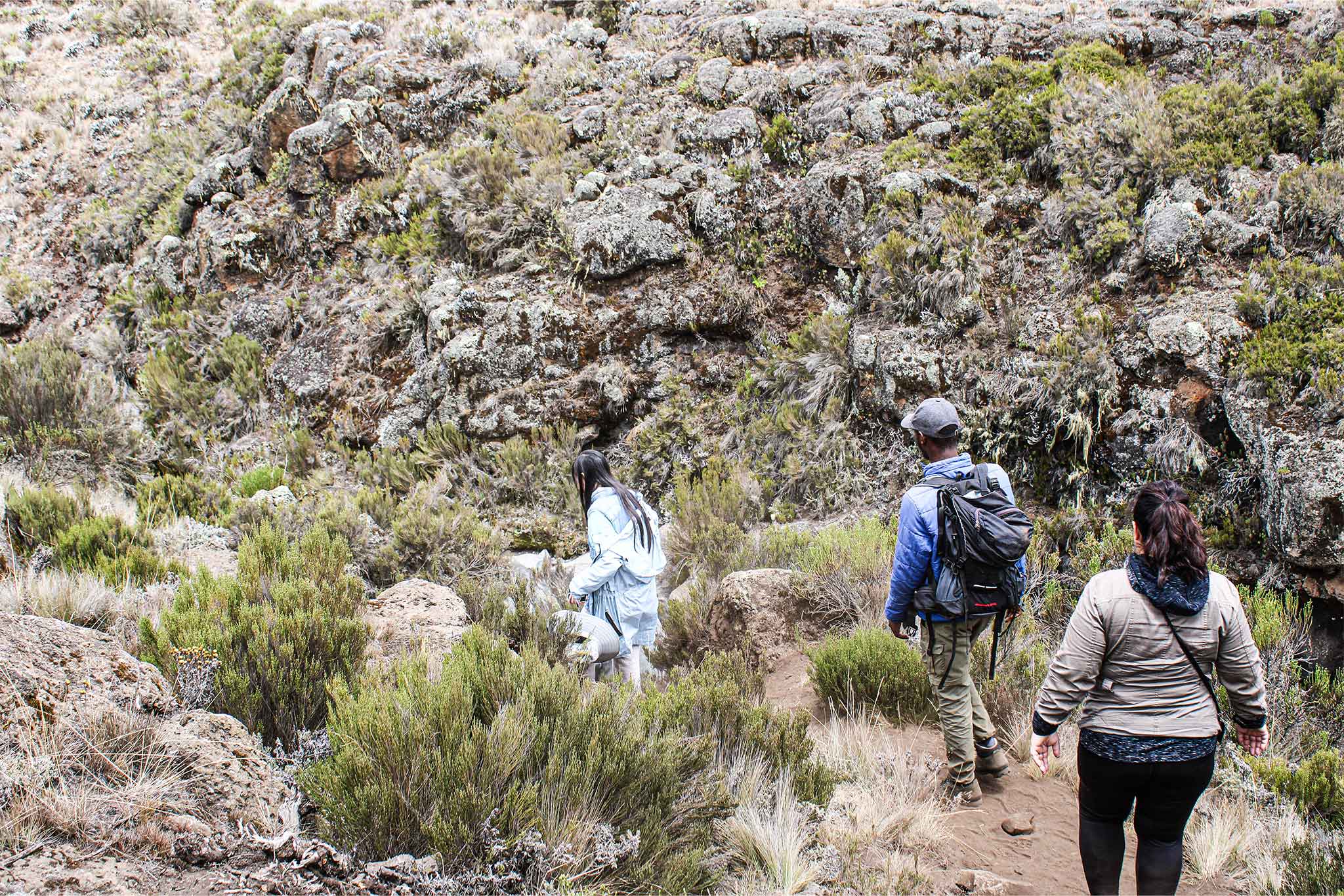 Trekking
