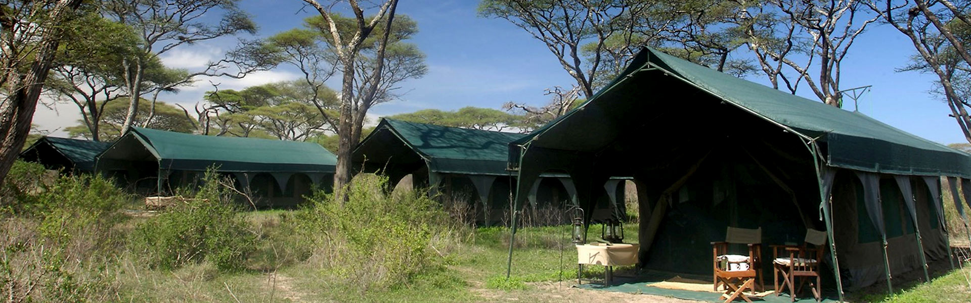 Kirurumu Tarangire Tented Camp