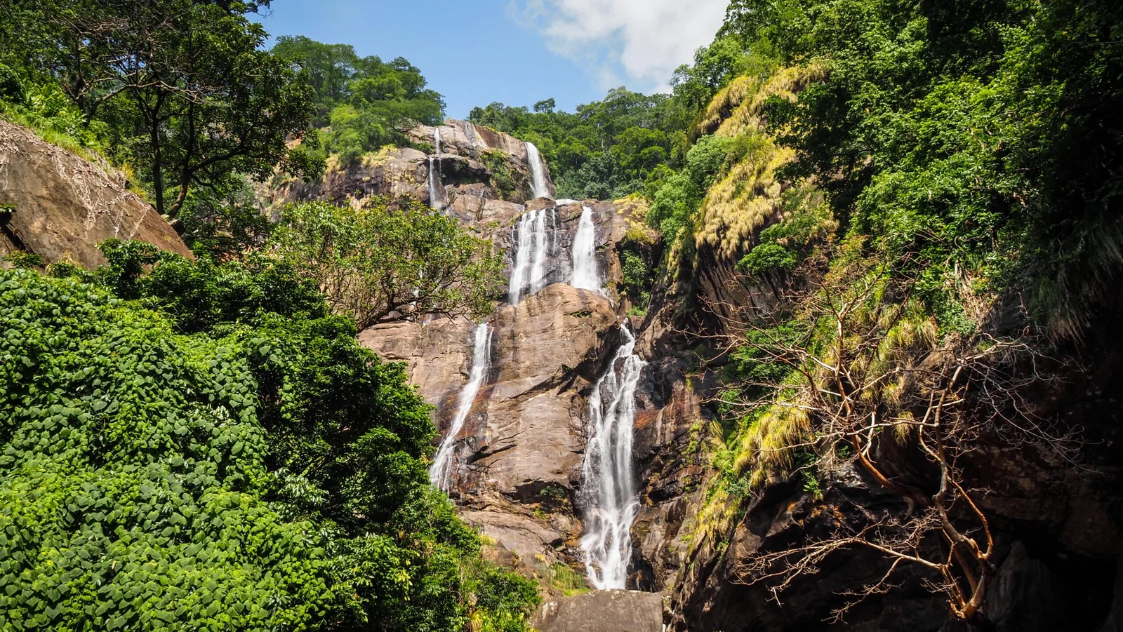 Udzungwa