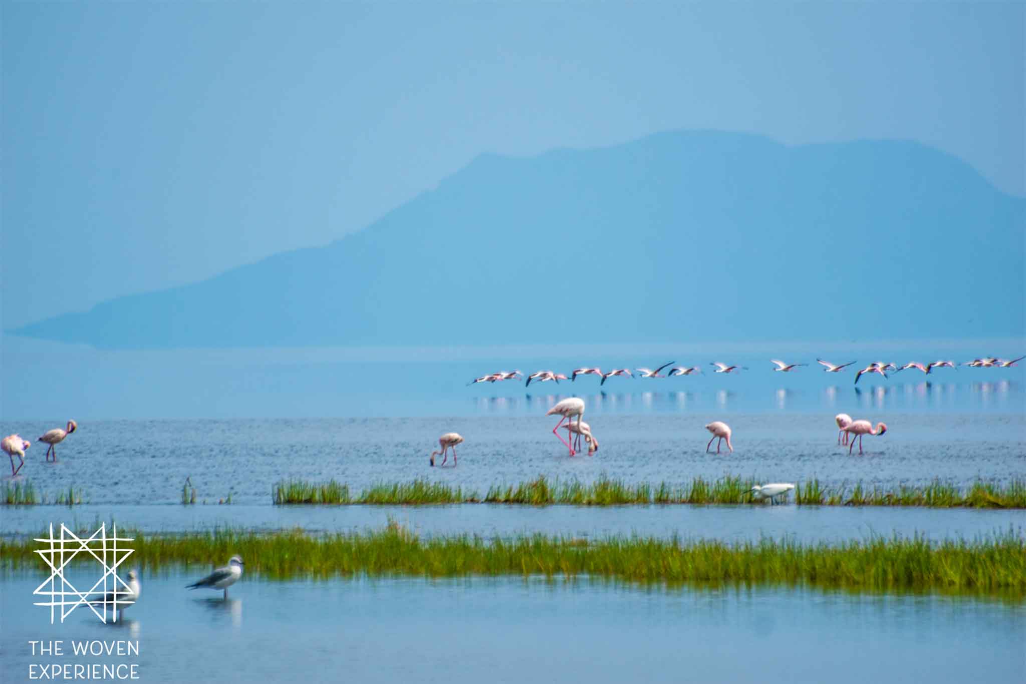 Lake Natron