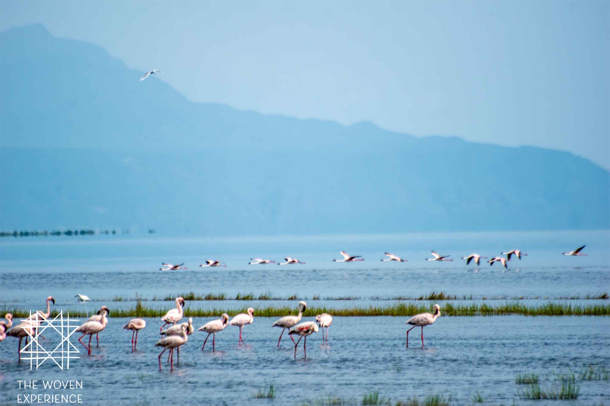 Lake Natron
