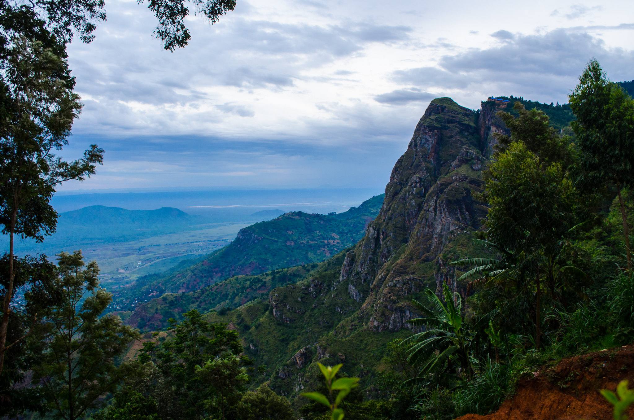Usambara