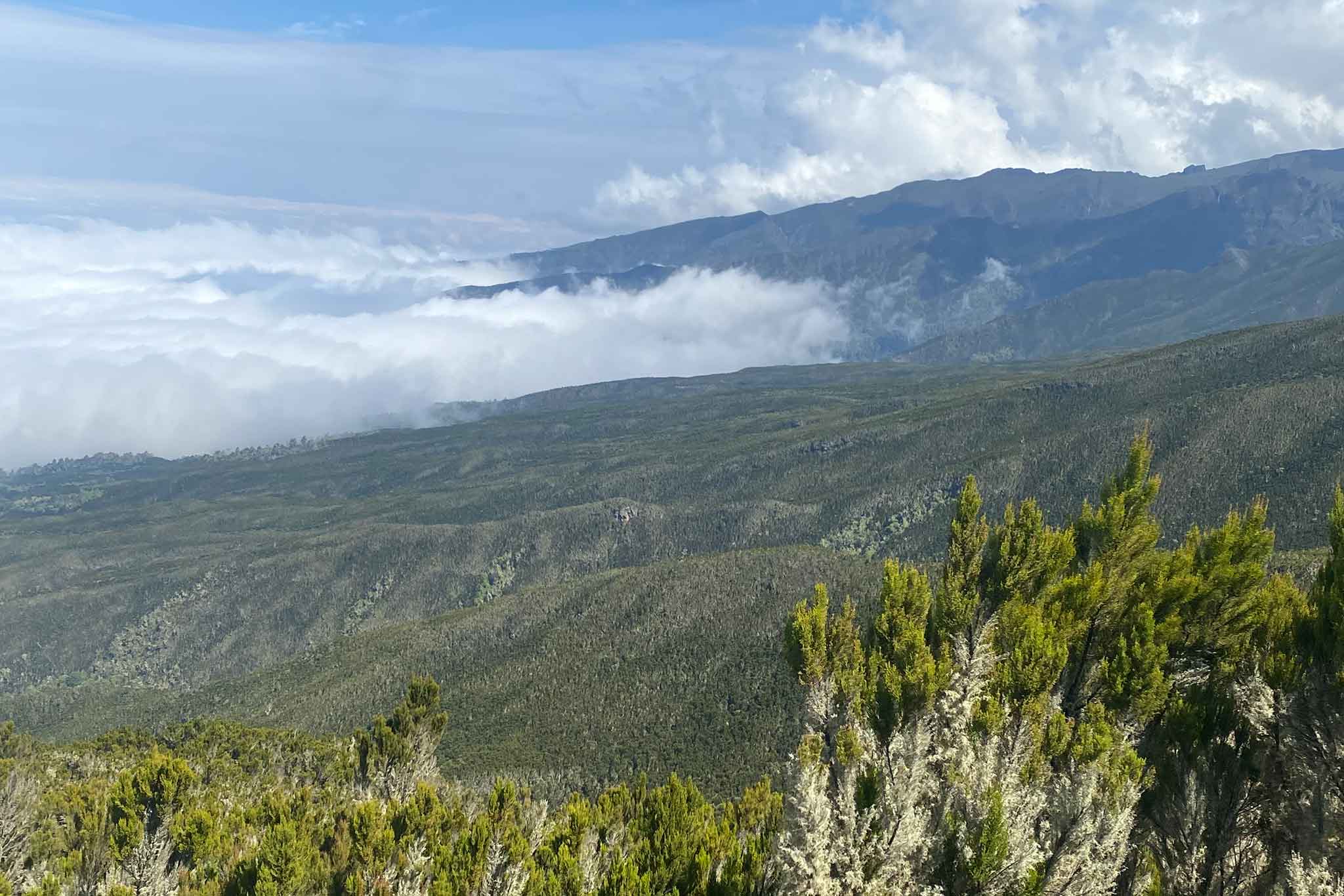 Mount Kilimanjaro