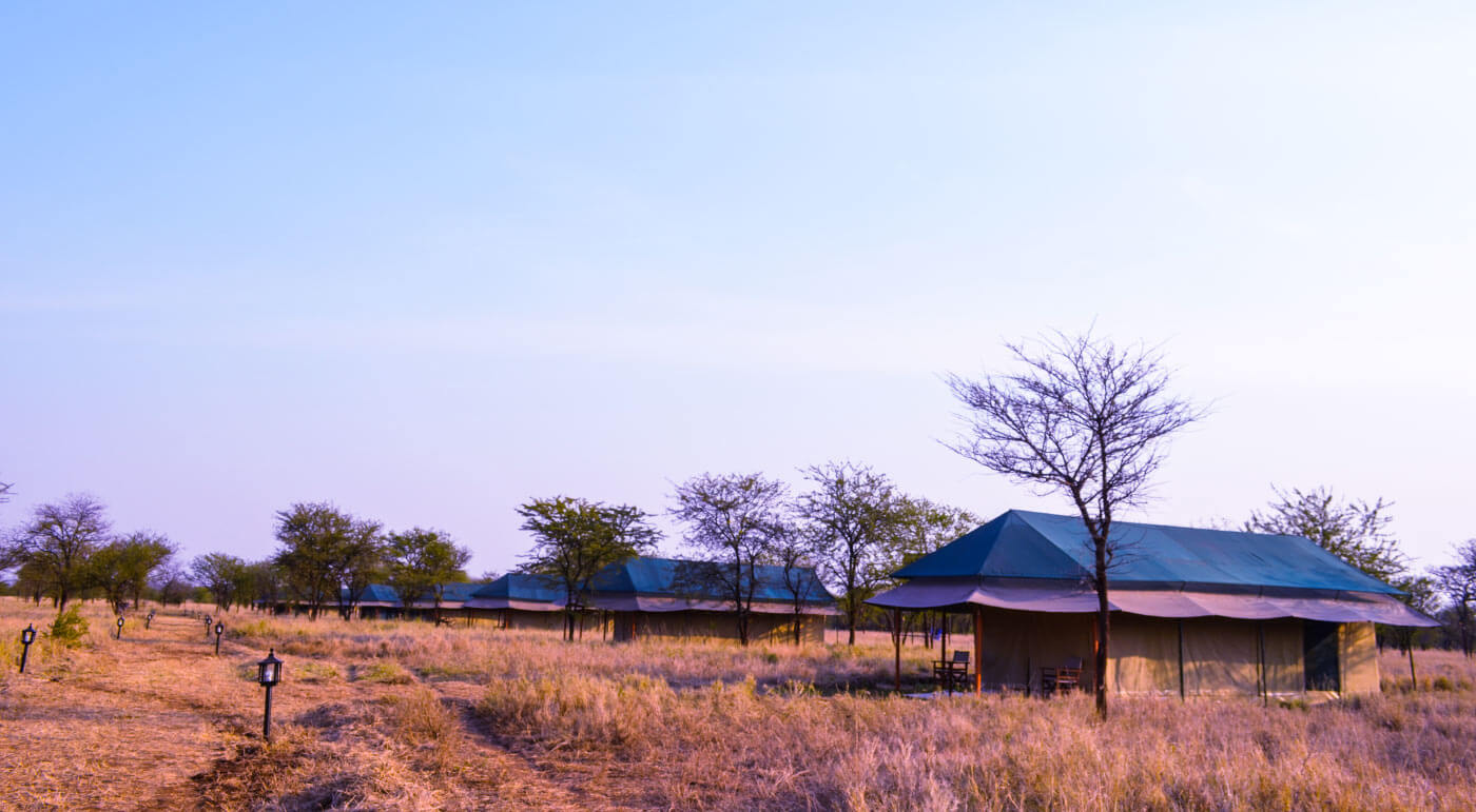 Osinon Camp, Central Serengeti