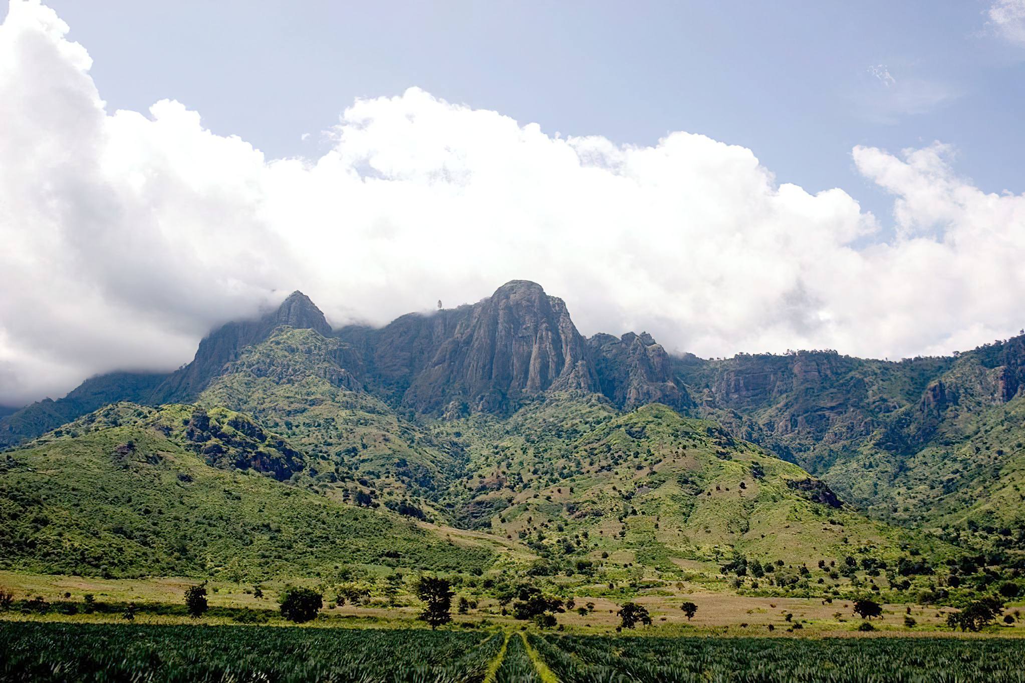 Usambara