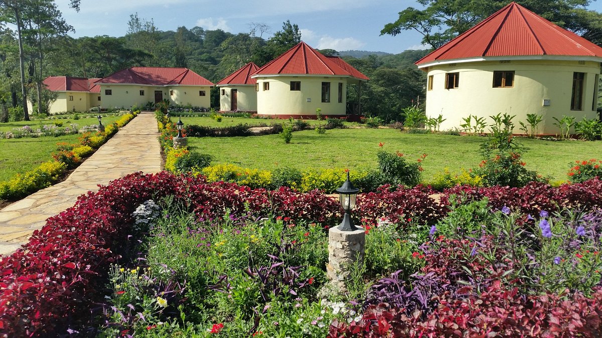 Hhando Coffee Lodge, Karatu