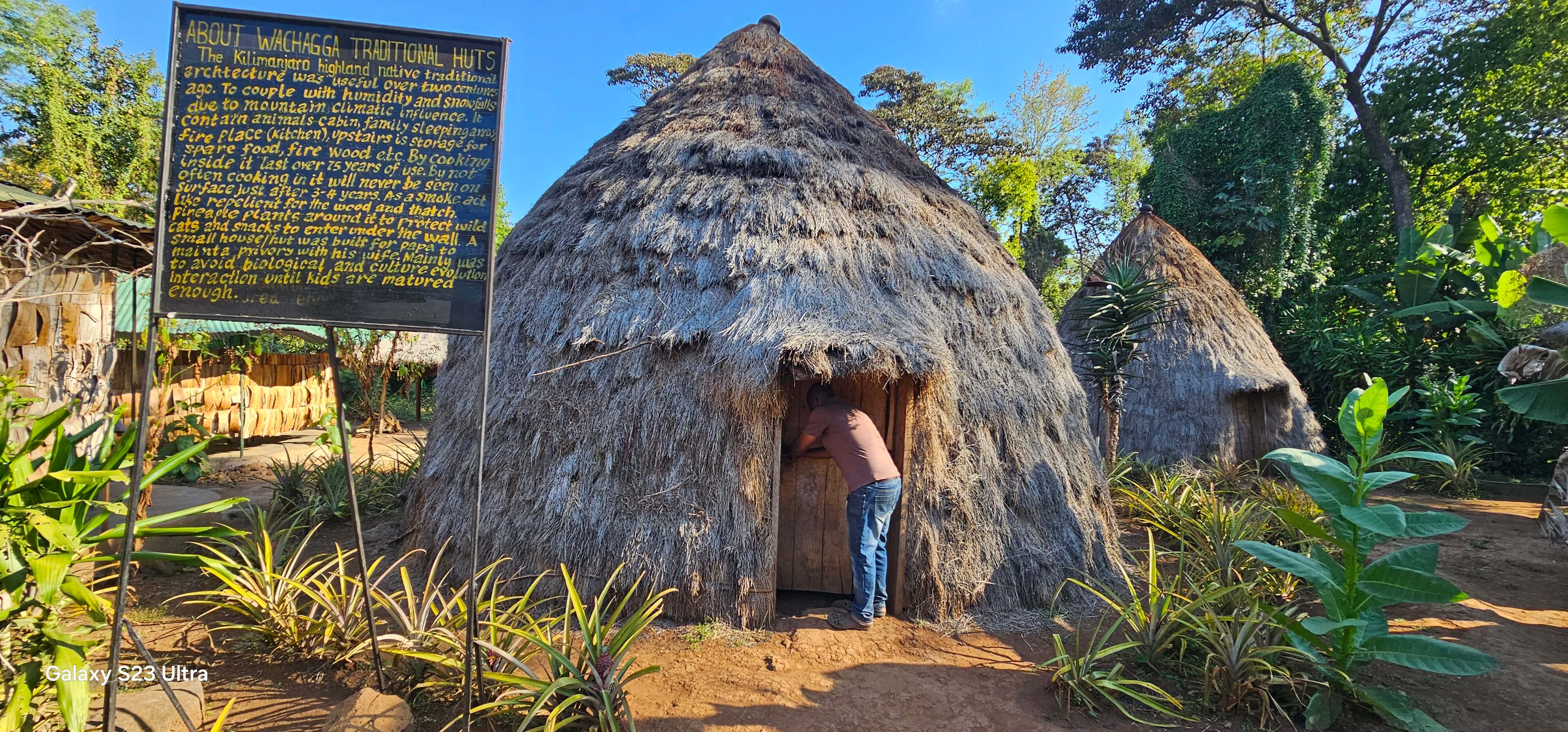 Marangu