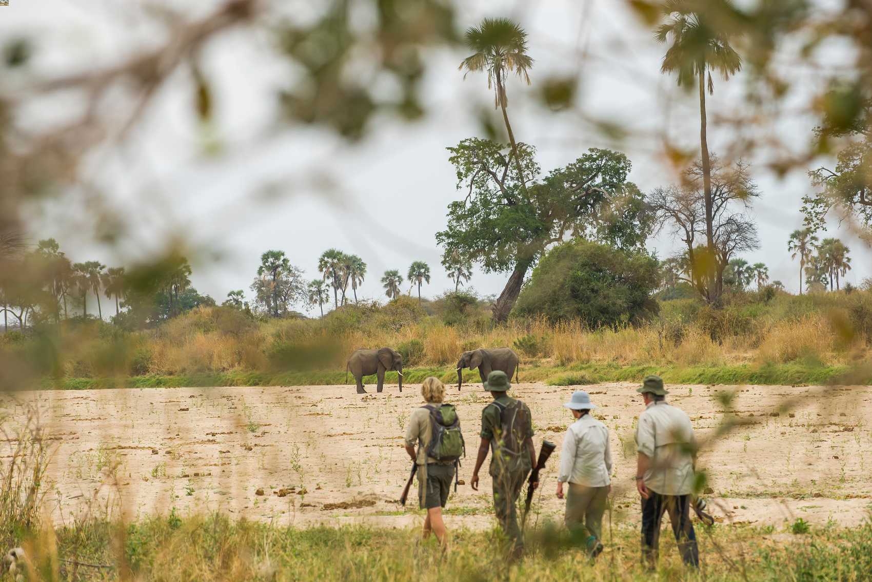 Walking Safari Ruaha