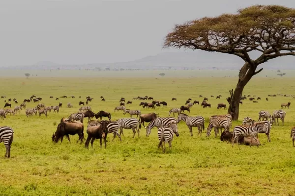 Serengeti National Park