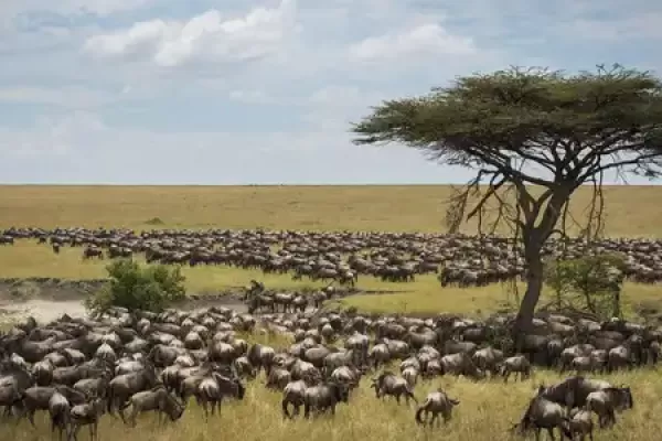 Serengeti National Park