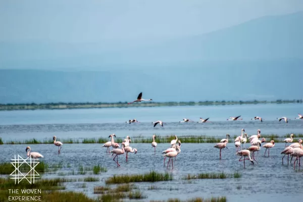 Lake Natron